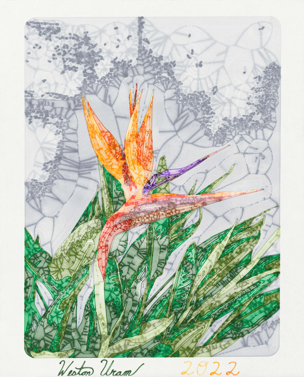 Weston Uram, Birds of Paradise, 2022