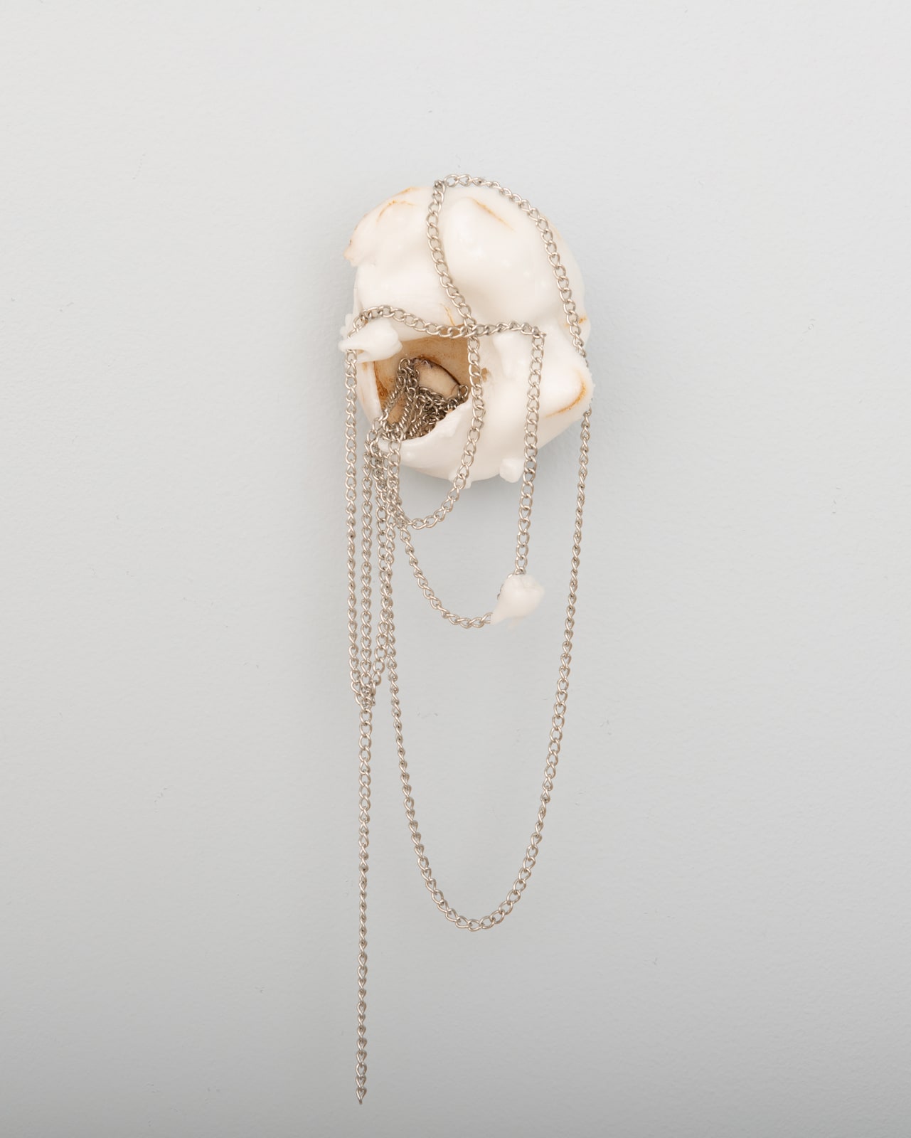Xin Liu, Teratoma , 2019