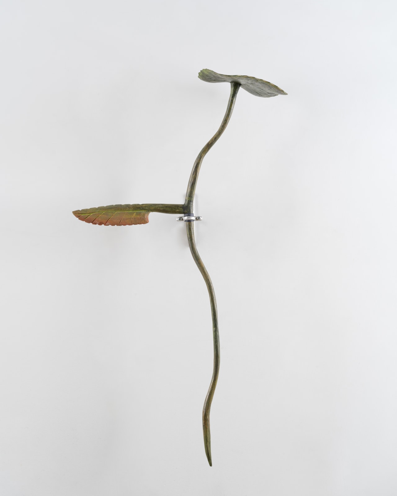 Shana Hoehn, Lilies in the Ditch #3, 2022