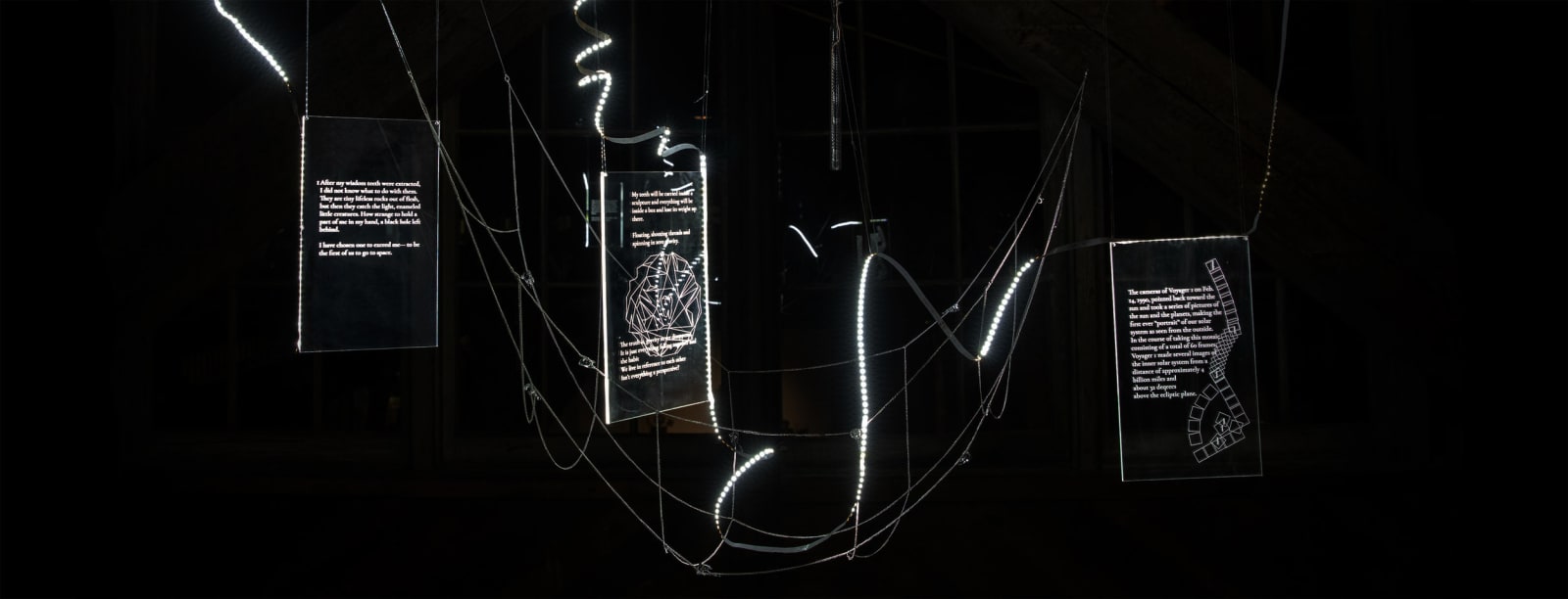 Xin Liu, Entangled, 2019