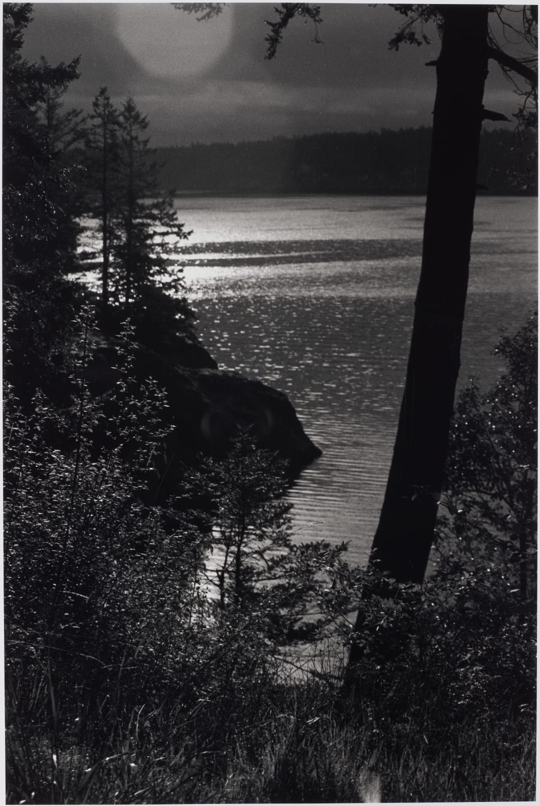 Mal Fostock, Lopez Island, 2000