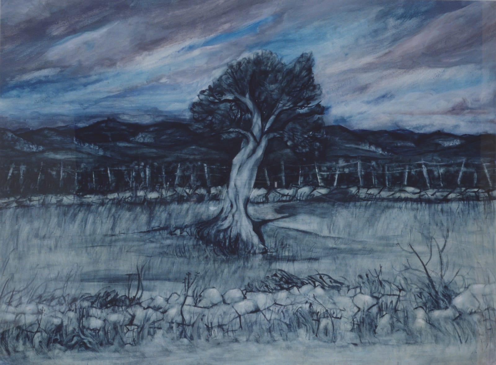 Mal Fostock, Olive Tree, 1991