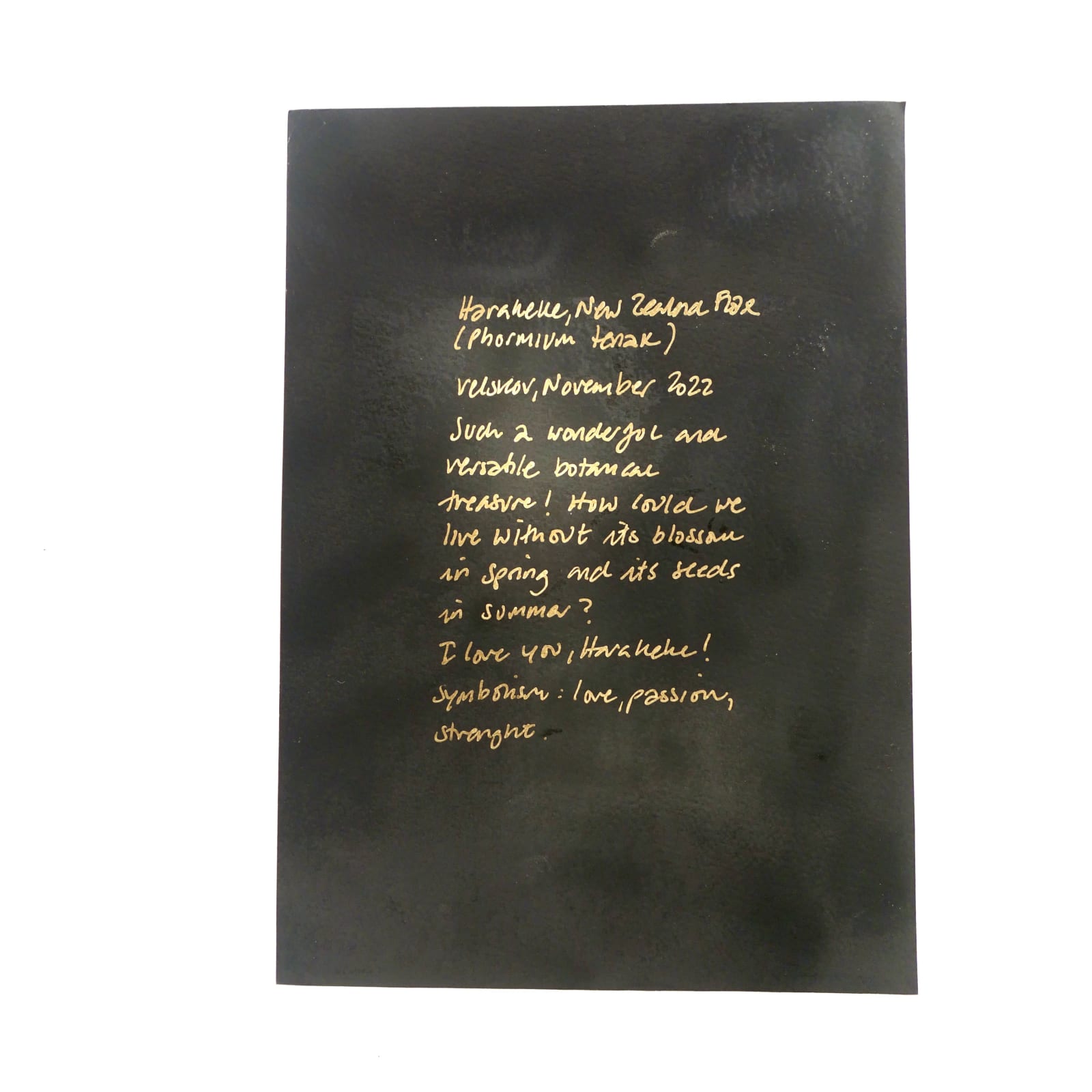 MAMAKAN, Harakeke Two, November, 2022