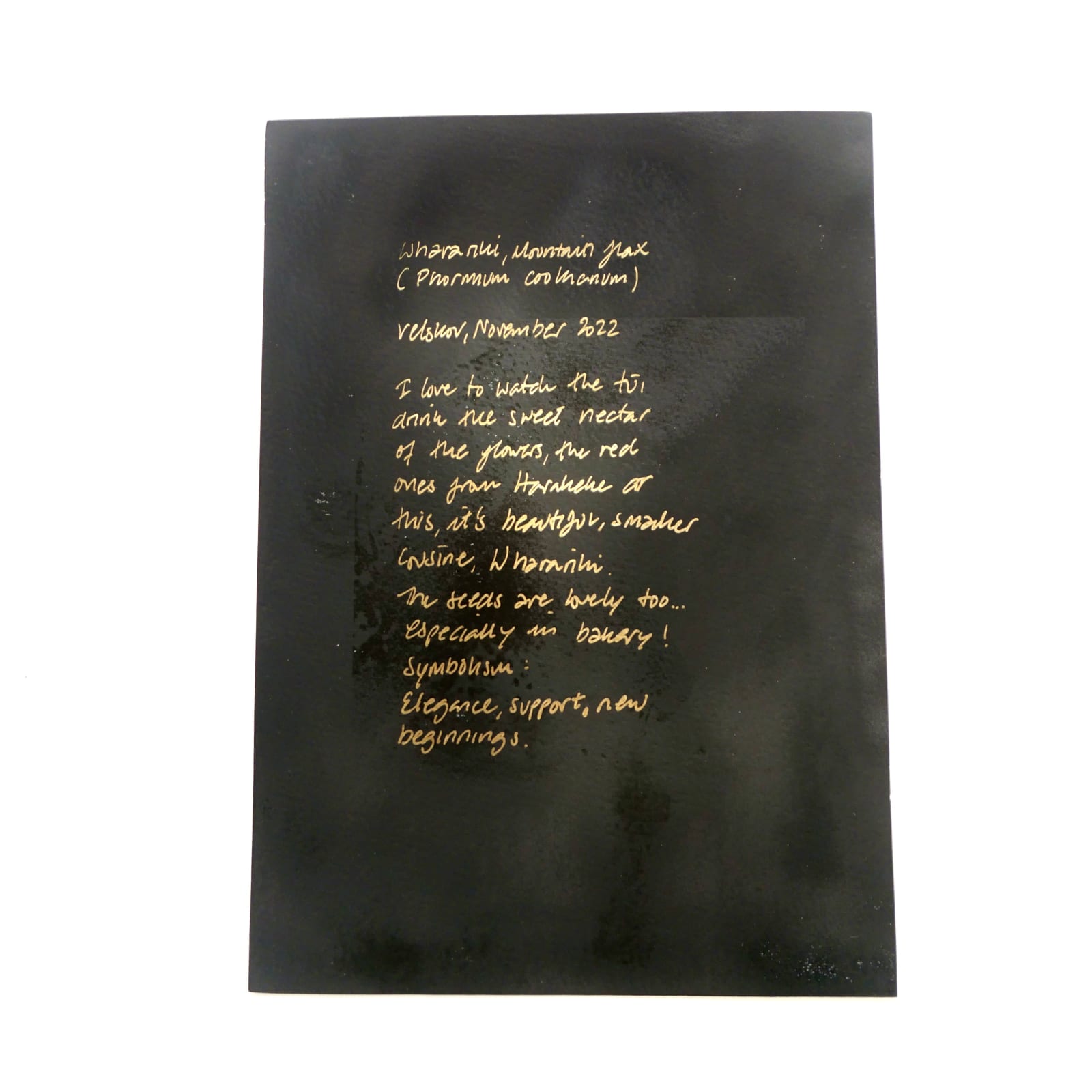 MAMAKAN, Wharariki Two, November, 2022