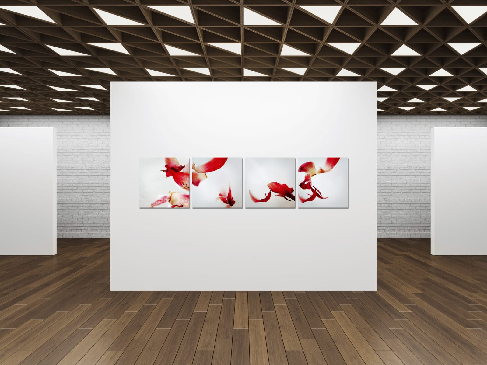 Etlingera elatior (Torch Ginger), 2020