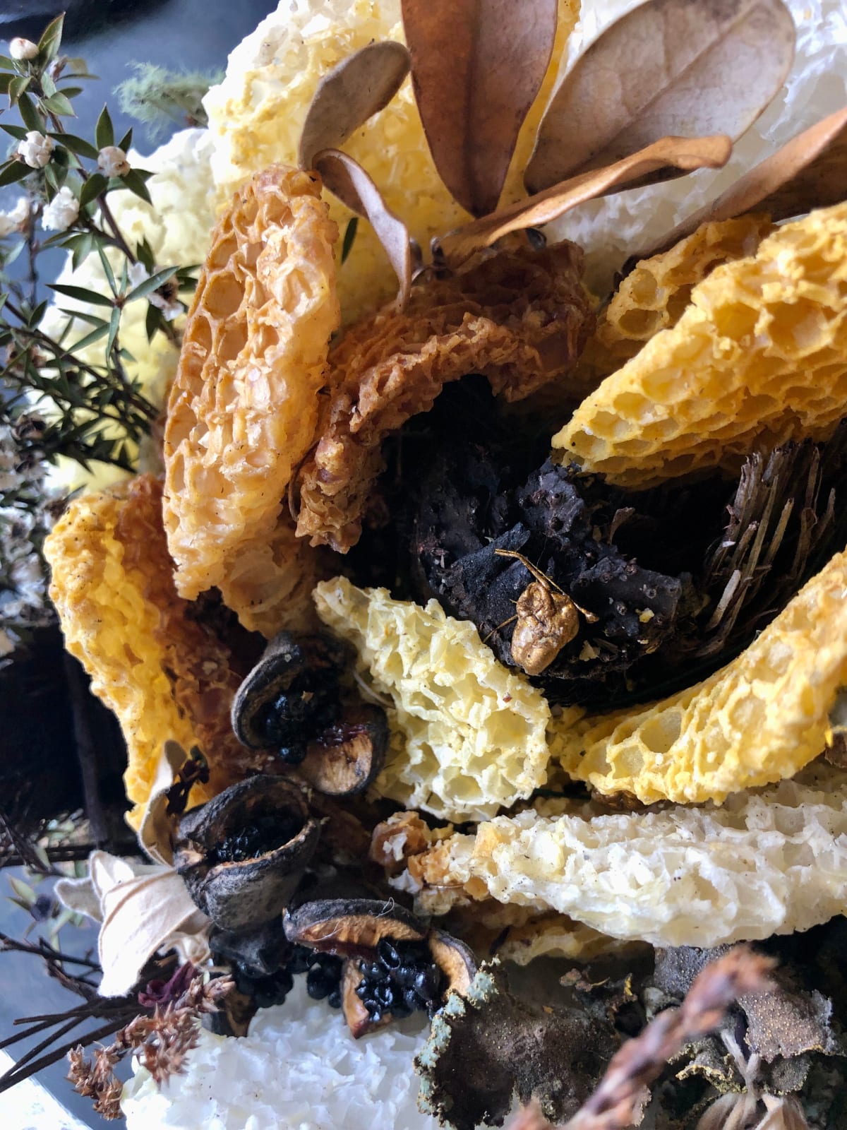 MAMAKAN, Phantasy, 2022