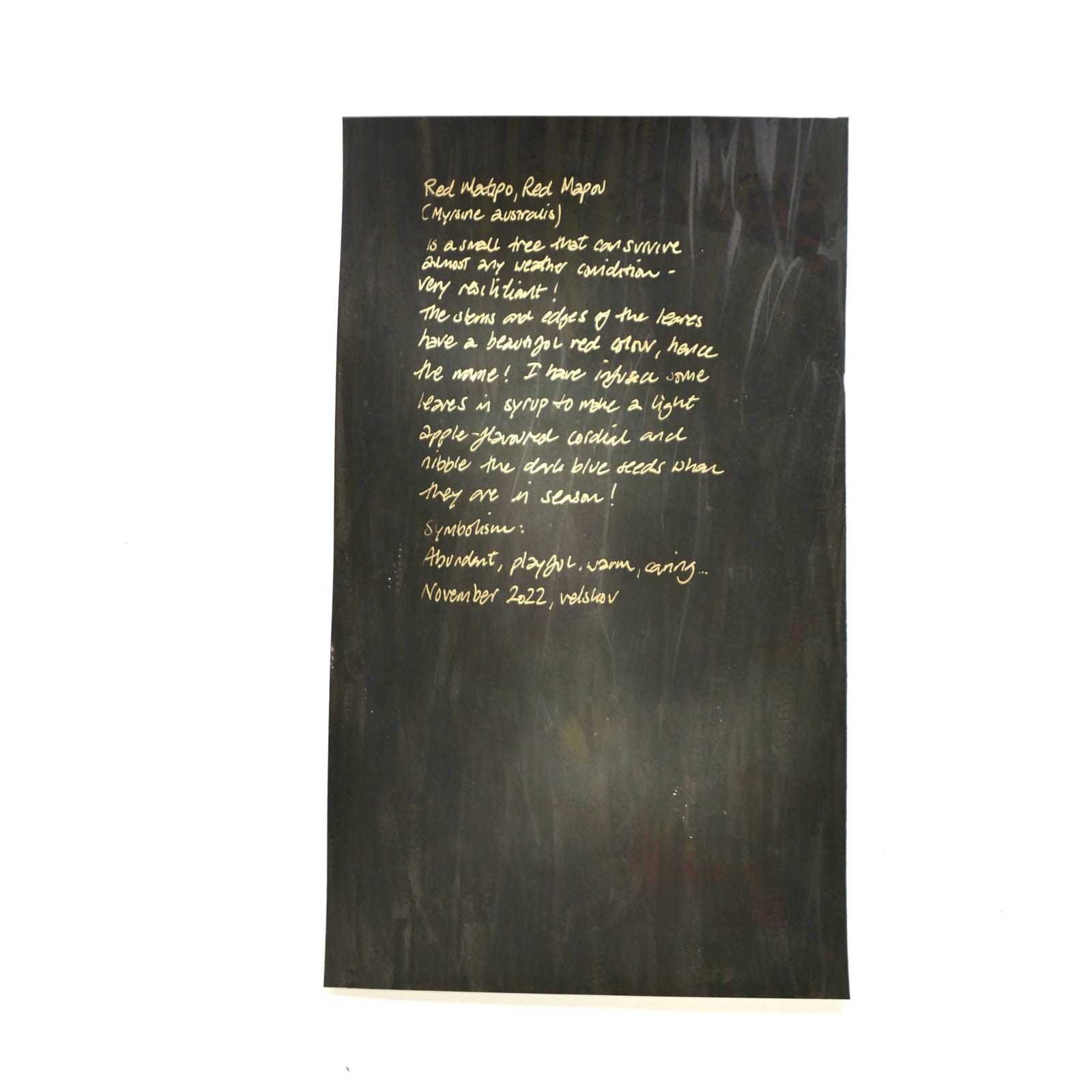 MAMAKAN, Red Matipo, November, 2022