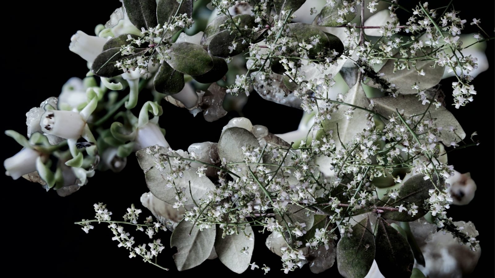 MAMAKAN, Wintergarden, 2022