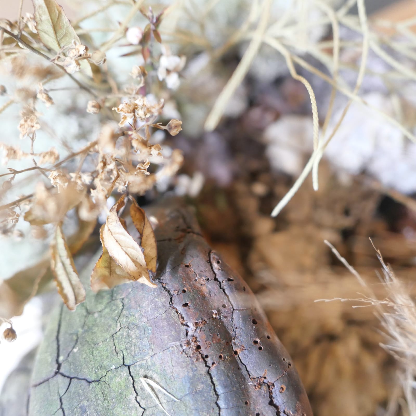 MAMAKAN, Seasons of Manuka | Spring, 2022