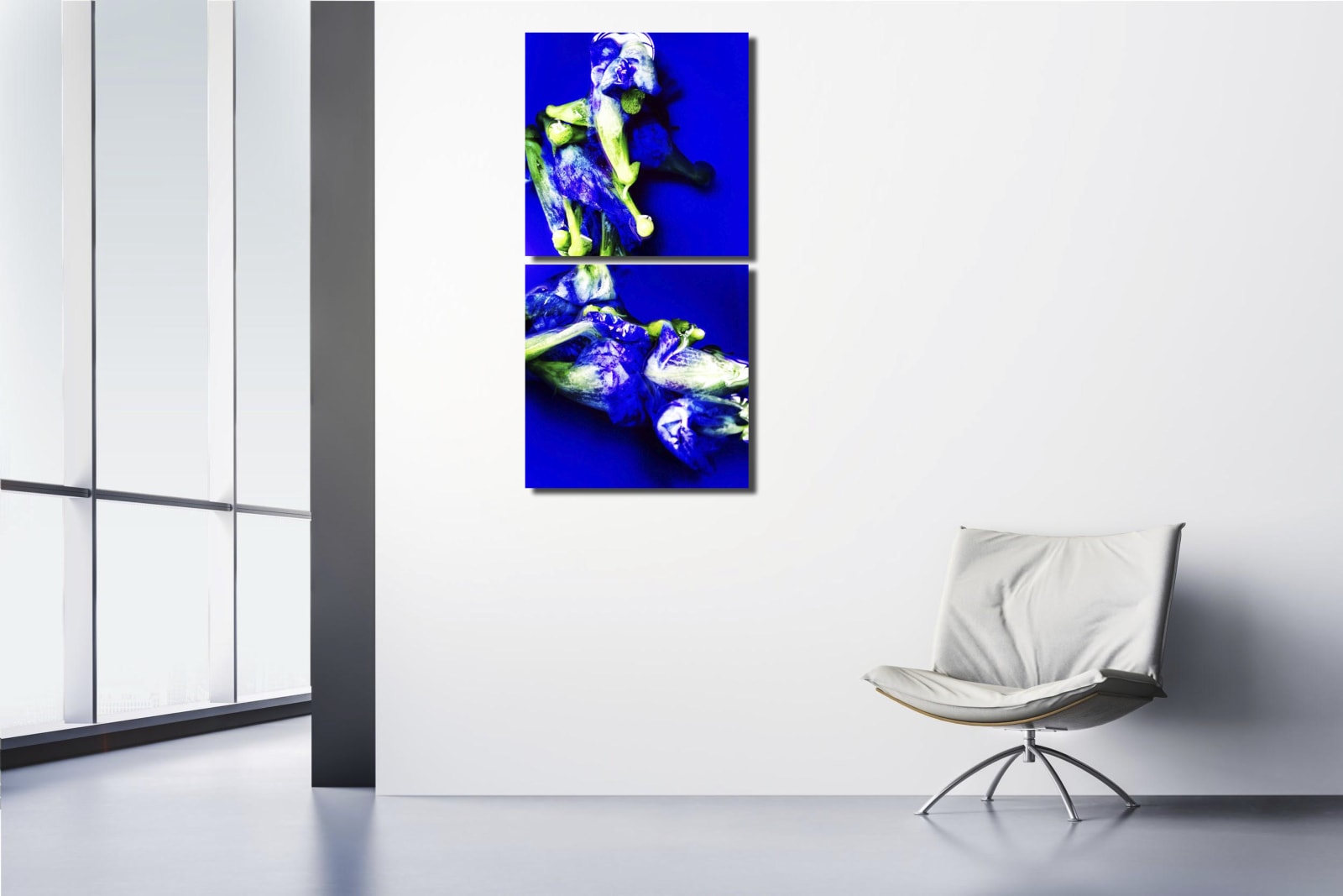 00056 Blue Pea Flower (Clitoria ternatea), 2020