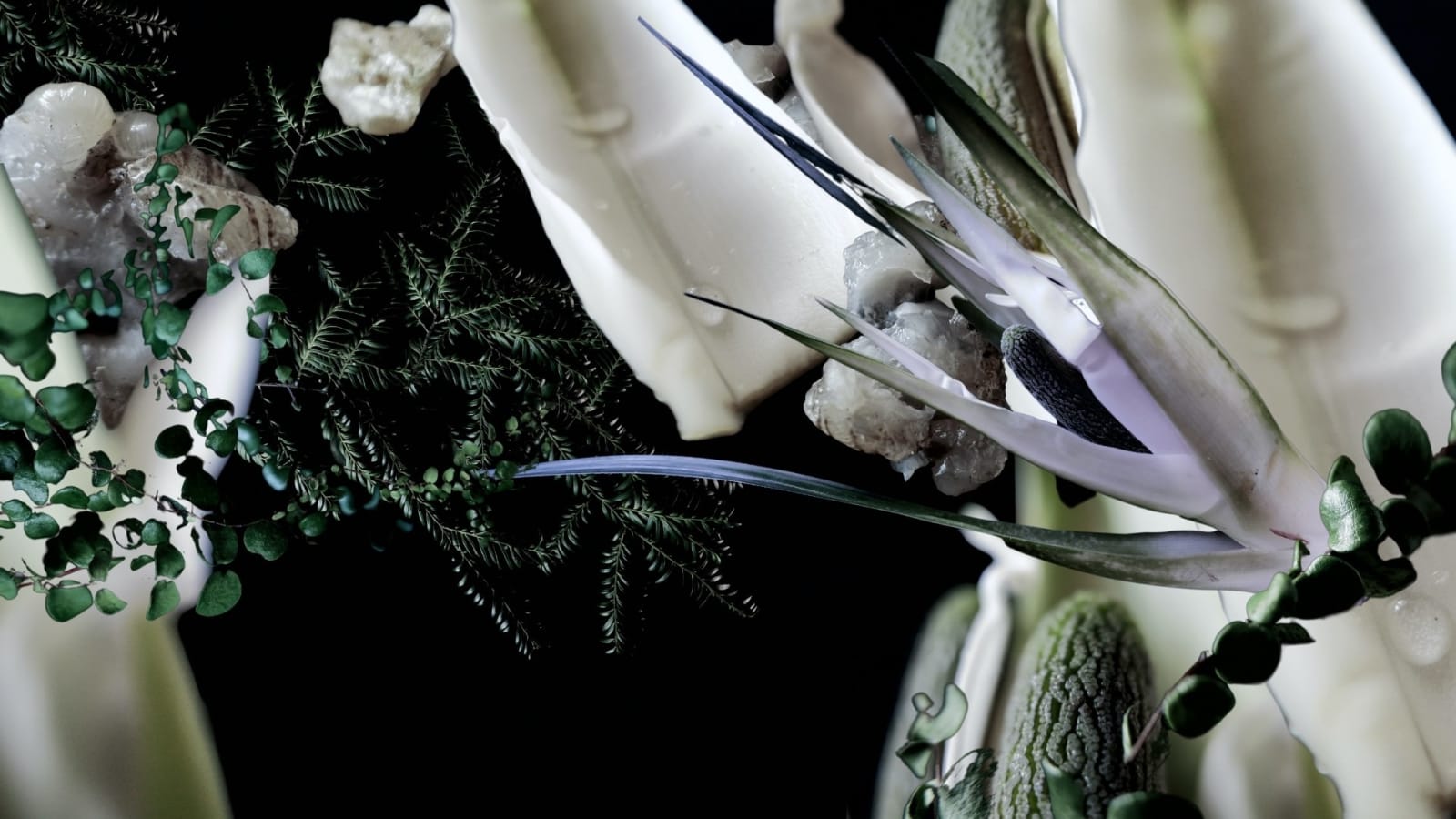 MAMAKAN, Frozen Duck Pond, 2022