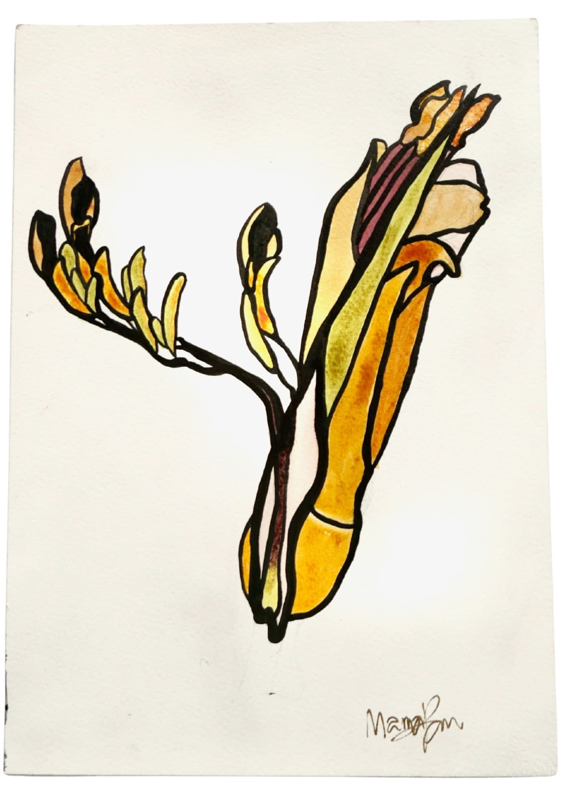 MAMAKAN, Wharariki Two, November, 2022