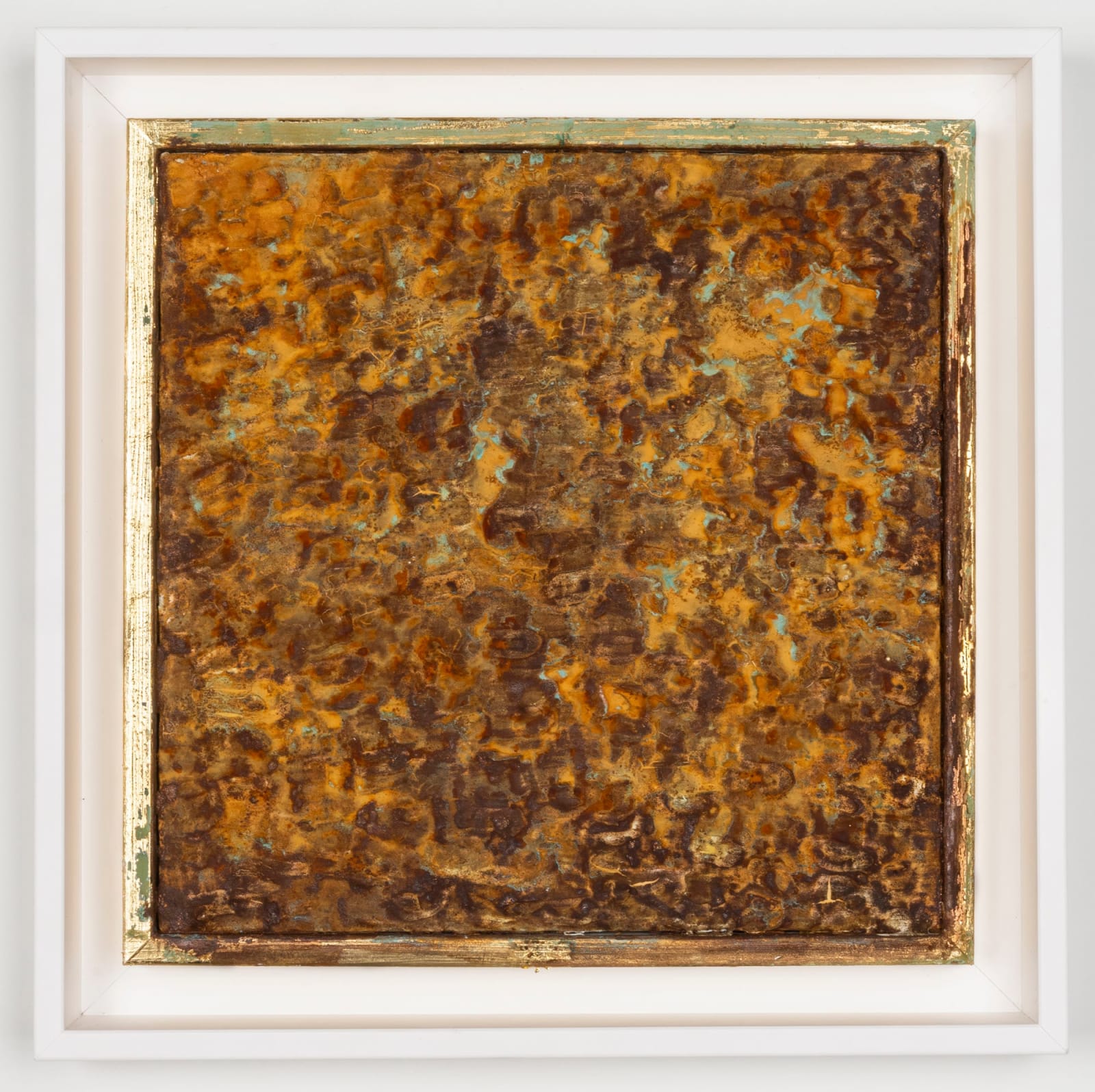 Joseph Cohen, Proposition 522