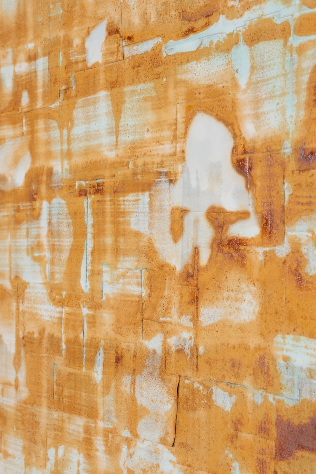 Joseph Cohen, Proposition 516