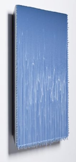 Joseph Cohen, Proposition 300