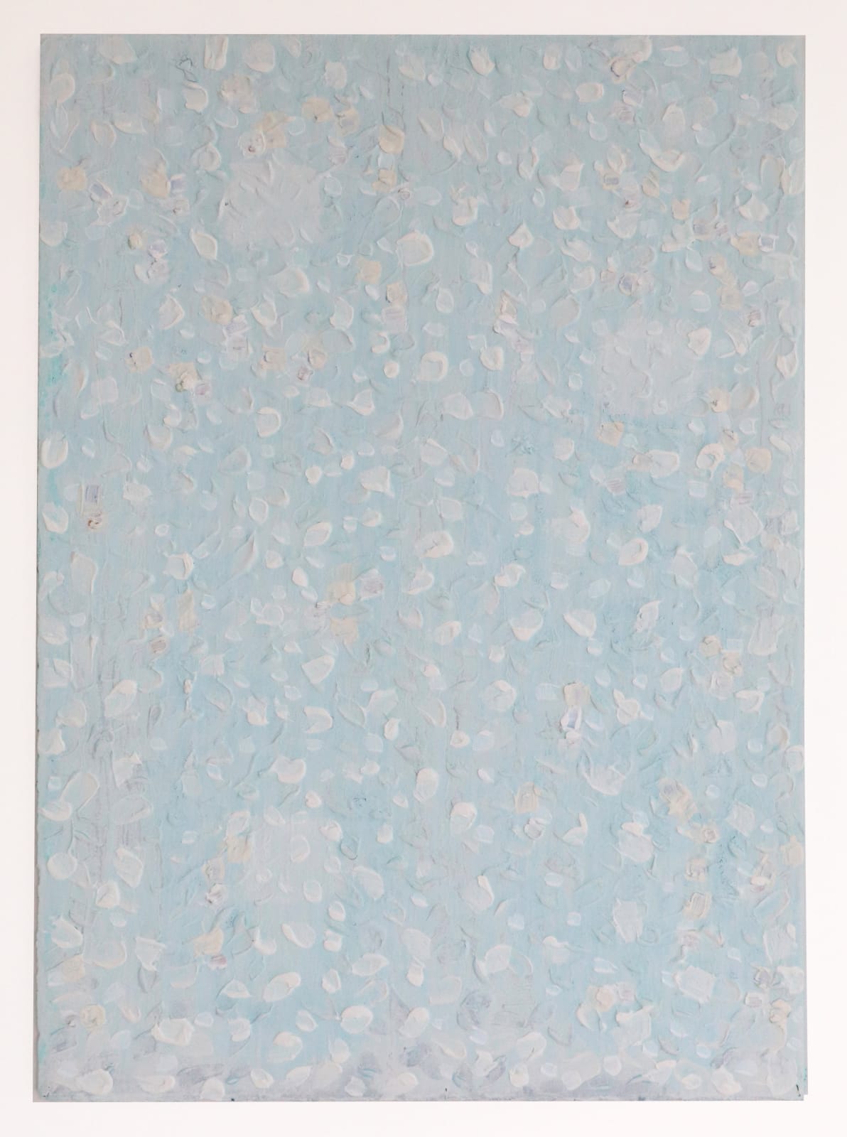 Joseph Cohen, Proposition 534