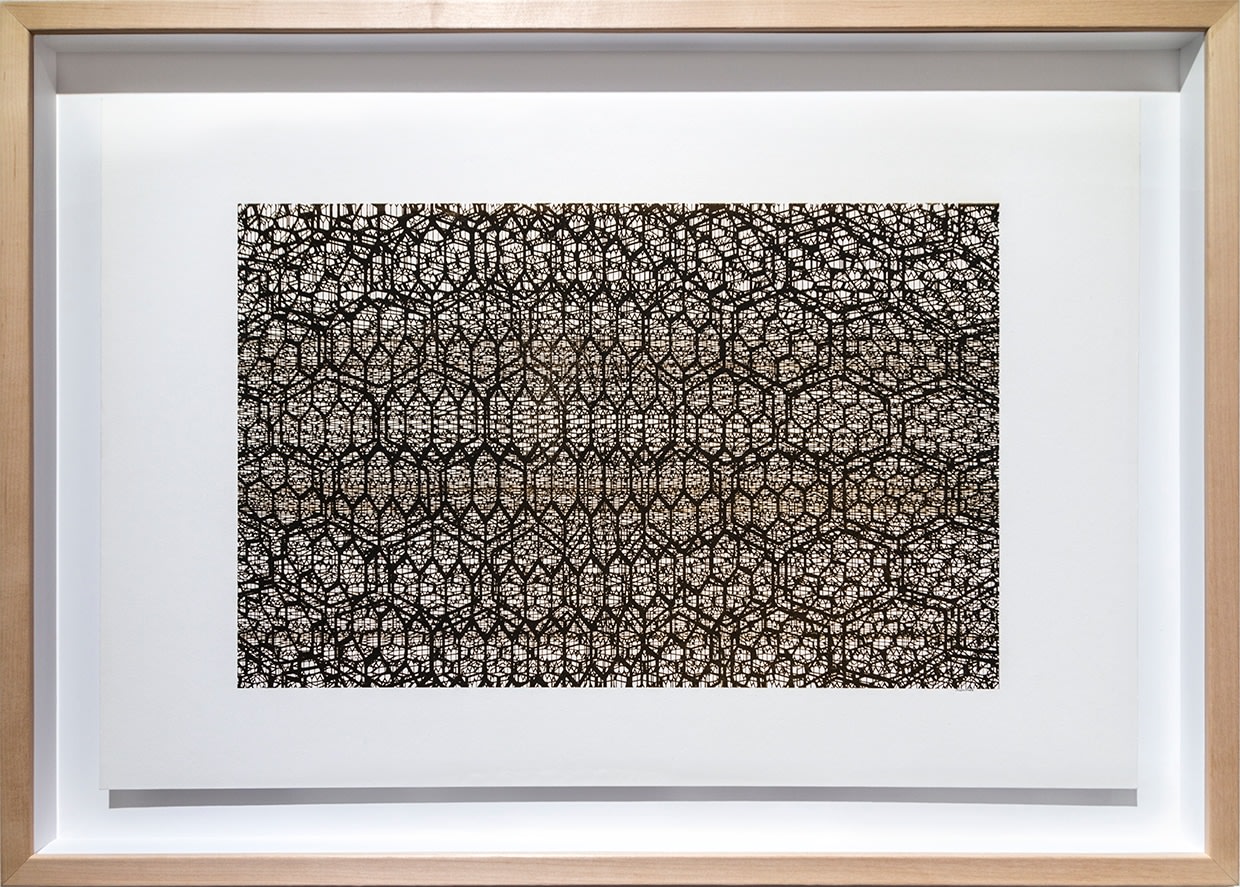 Joseph Cohen, Proposition 491 (Where do I stand? Part 1)