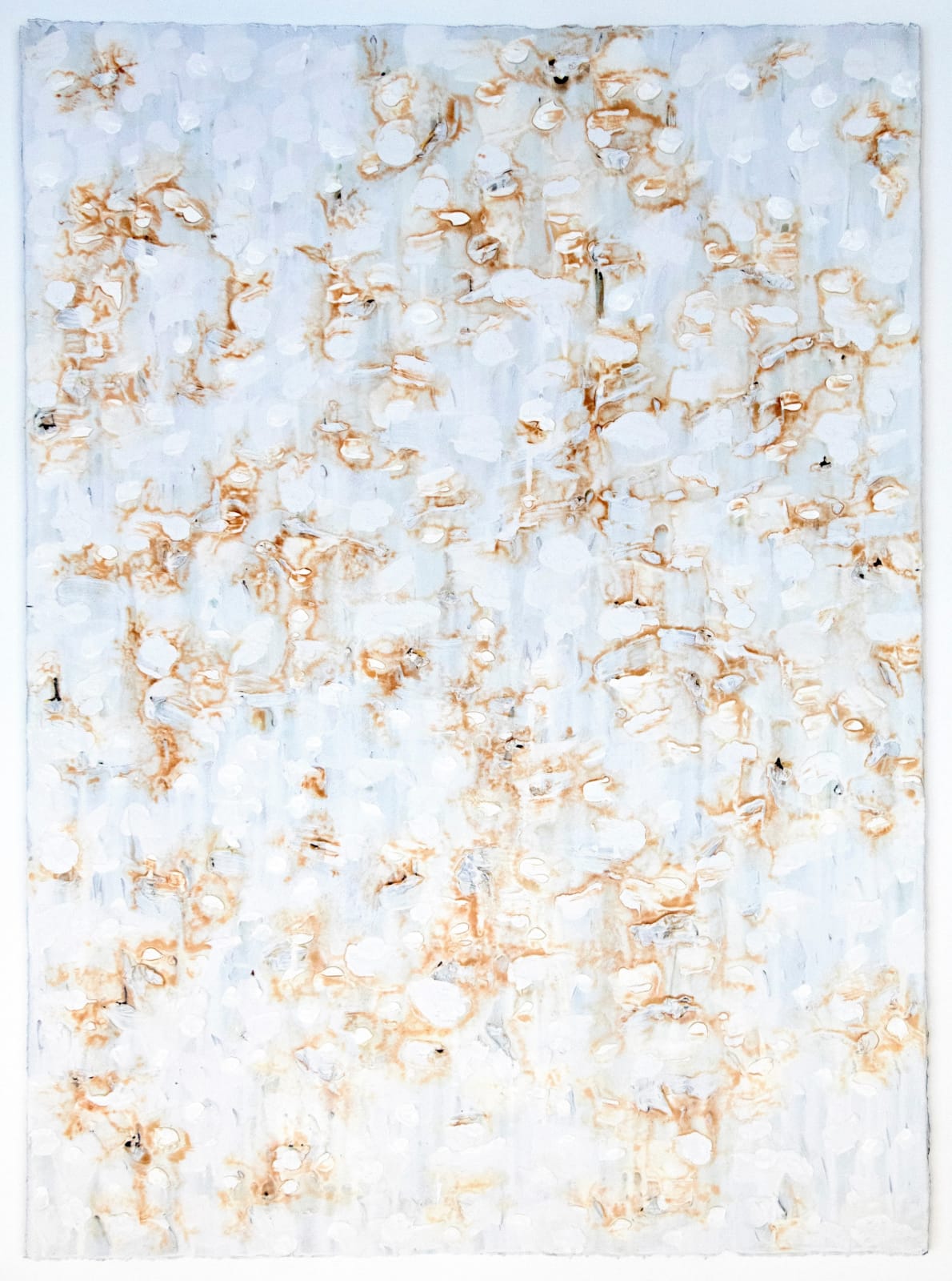 Joseph Cohen, Proposition 502