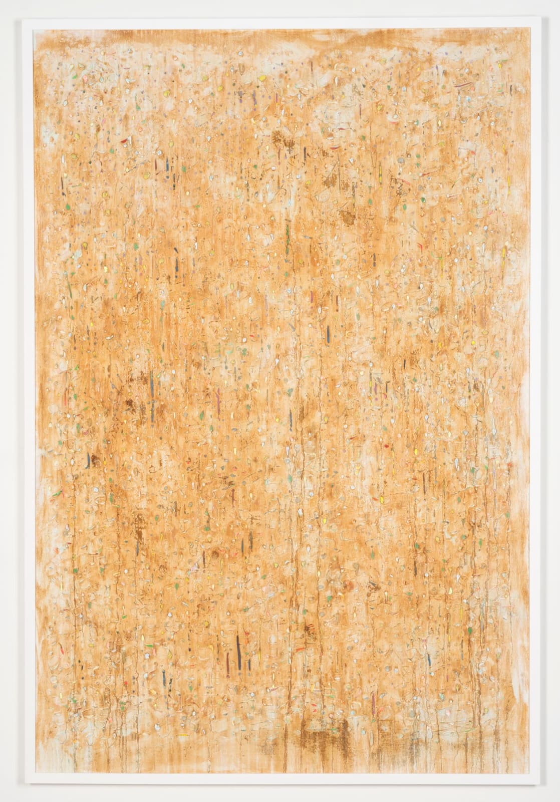 Joseph Cohen, Proposition 517