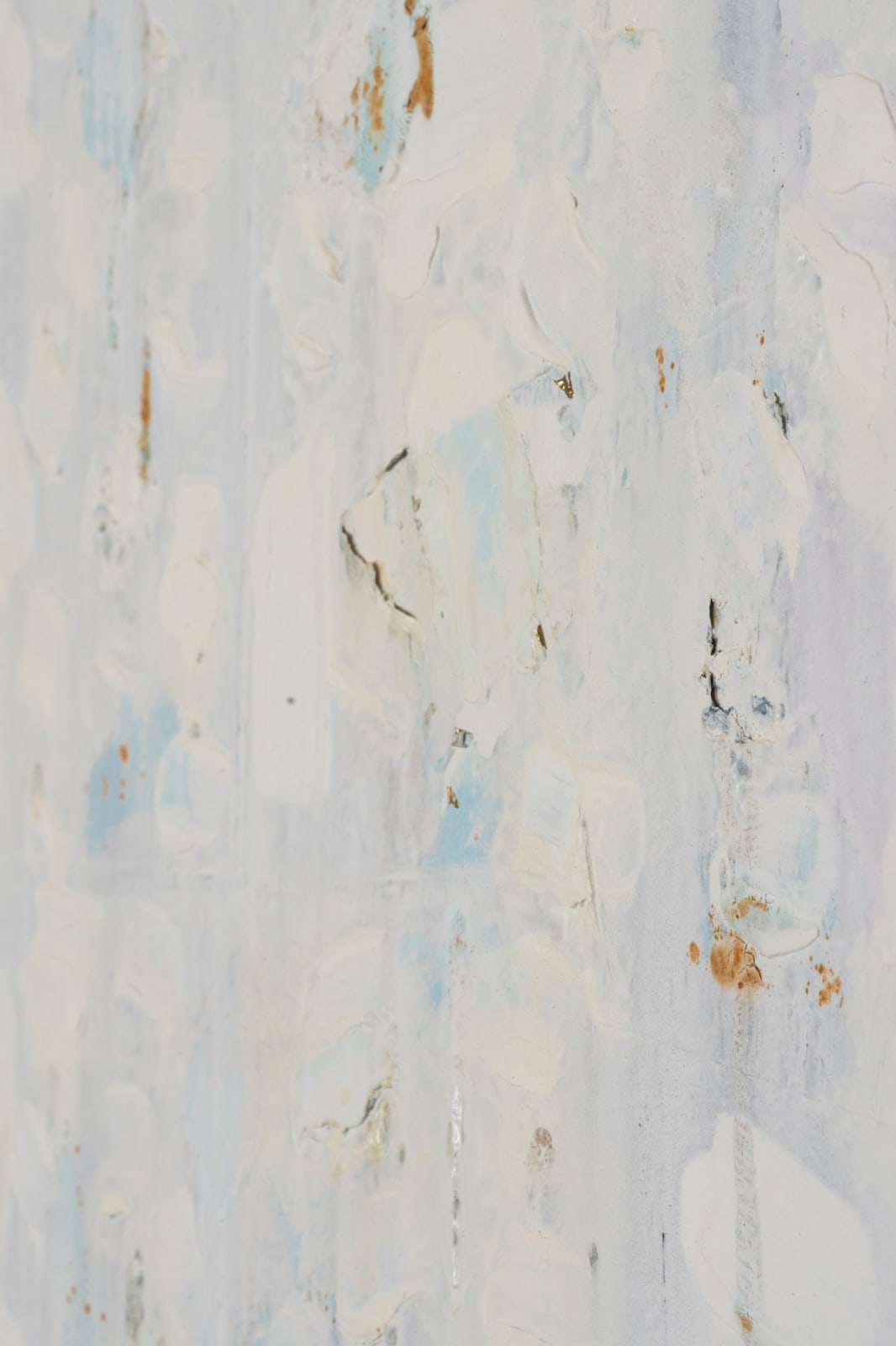 Joseph Cohen, Proposition 527