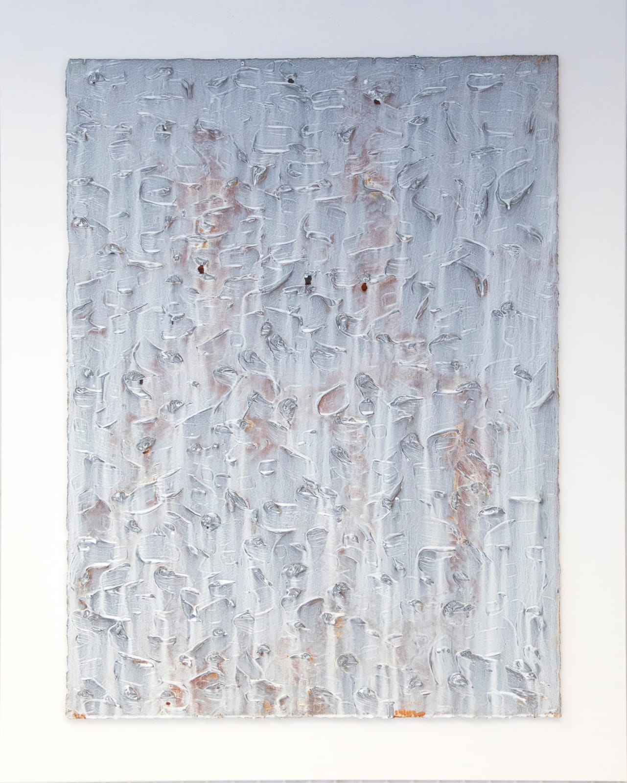 Joseph Cohen, Proposition 505