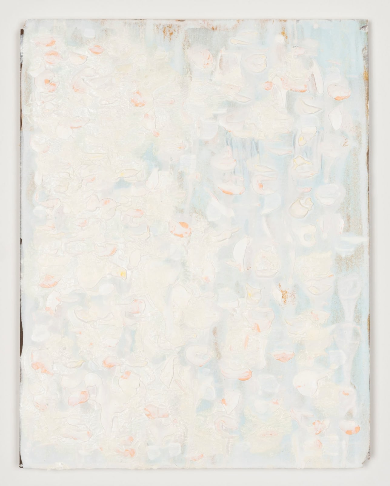 Joseph Cohen, Proposition 524