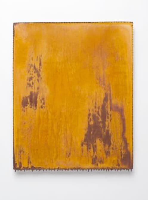 Joseph Cohen, Proposition 334