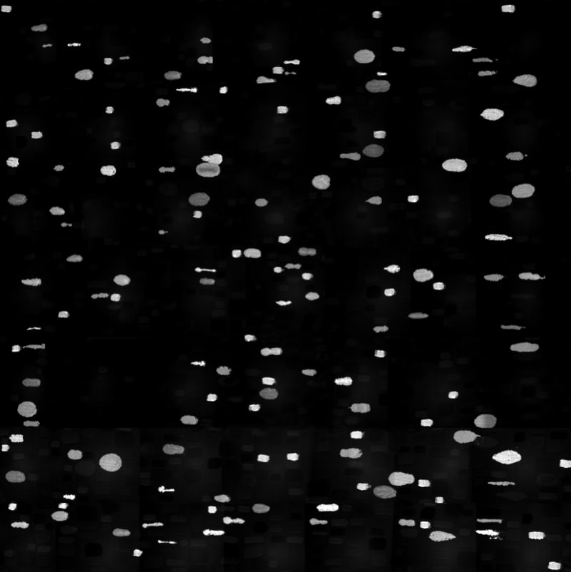 Joseph Cohen, Proposition 500B (590 EP (Excitation Print))