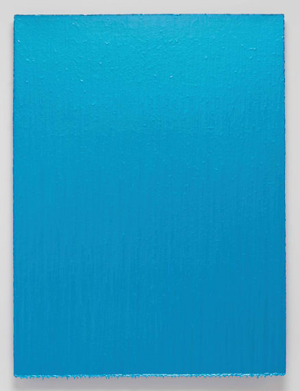 Joseph Cohen, Proposition 460