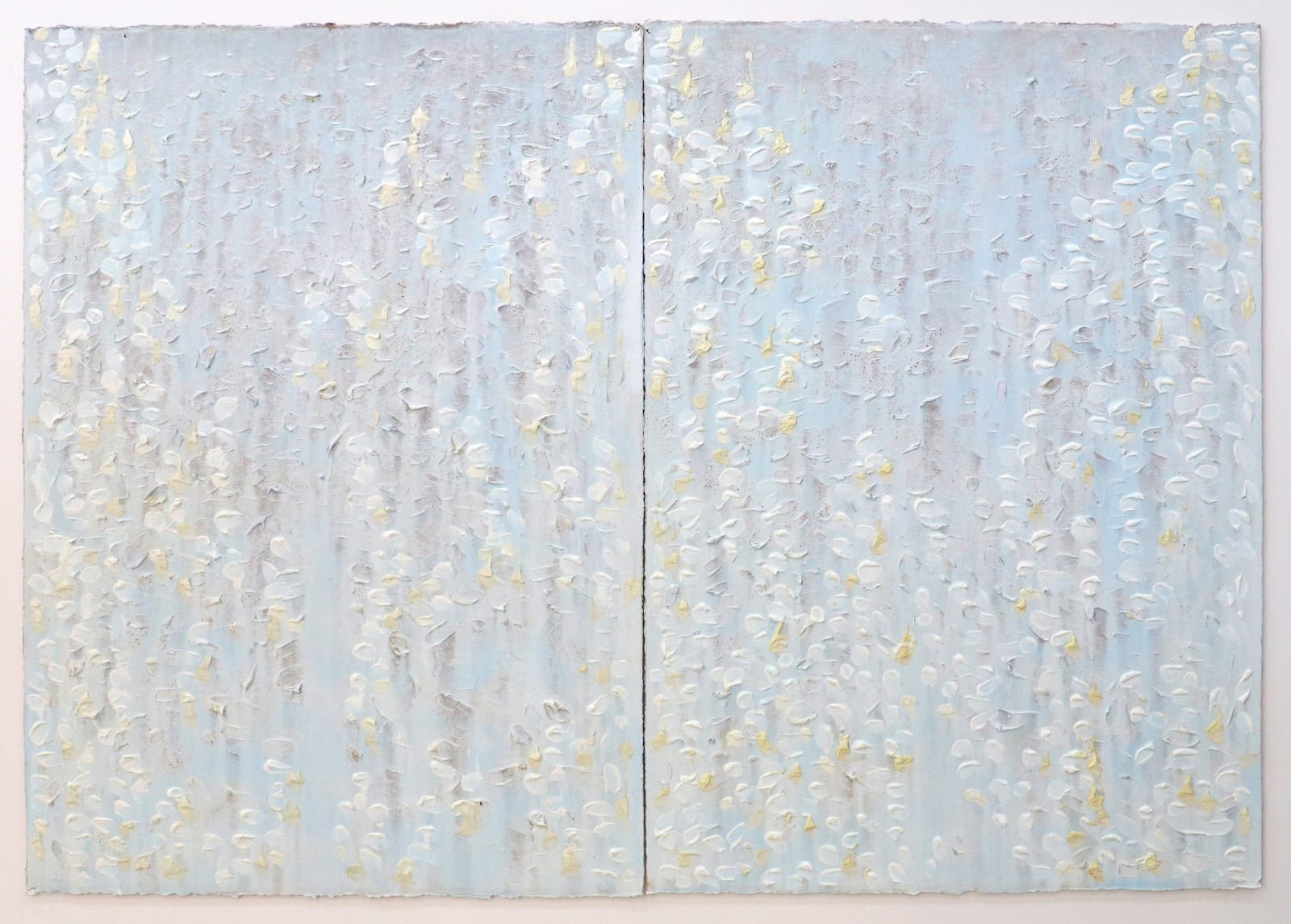 Joseph Cohen, Proposition 533