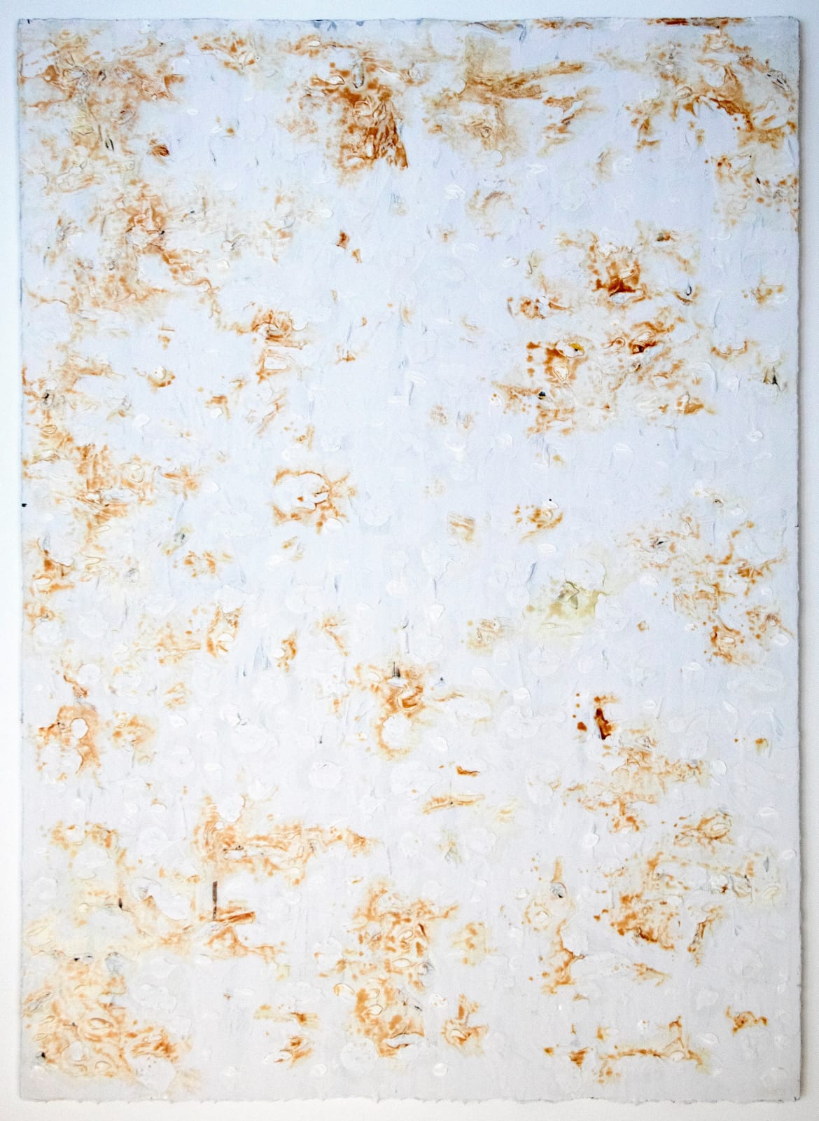 Joseph Cohen, Proposition 503