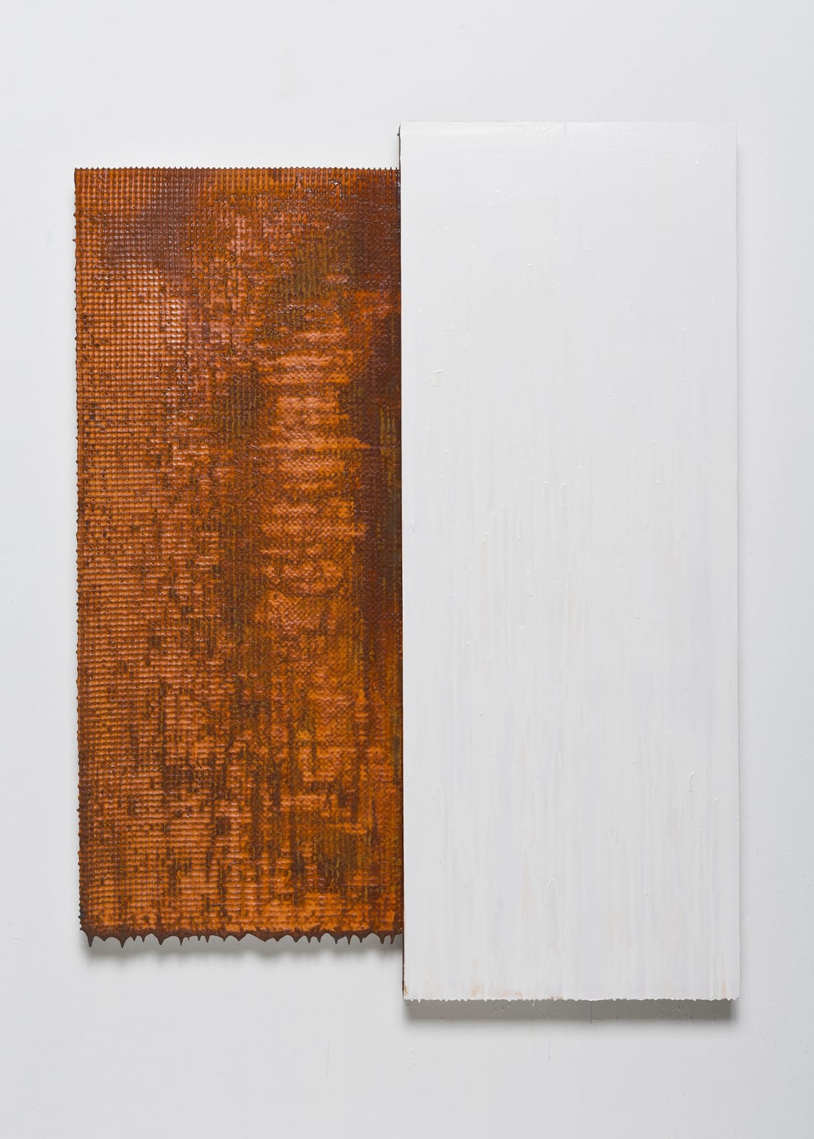 Joseph Cohen, Proposition 392