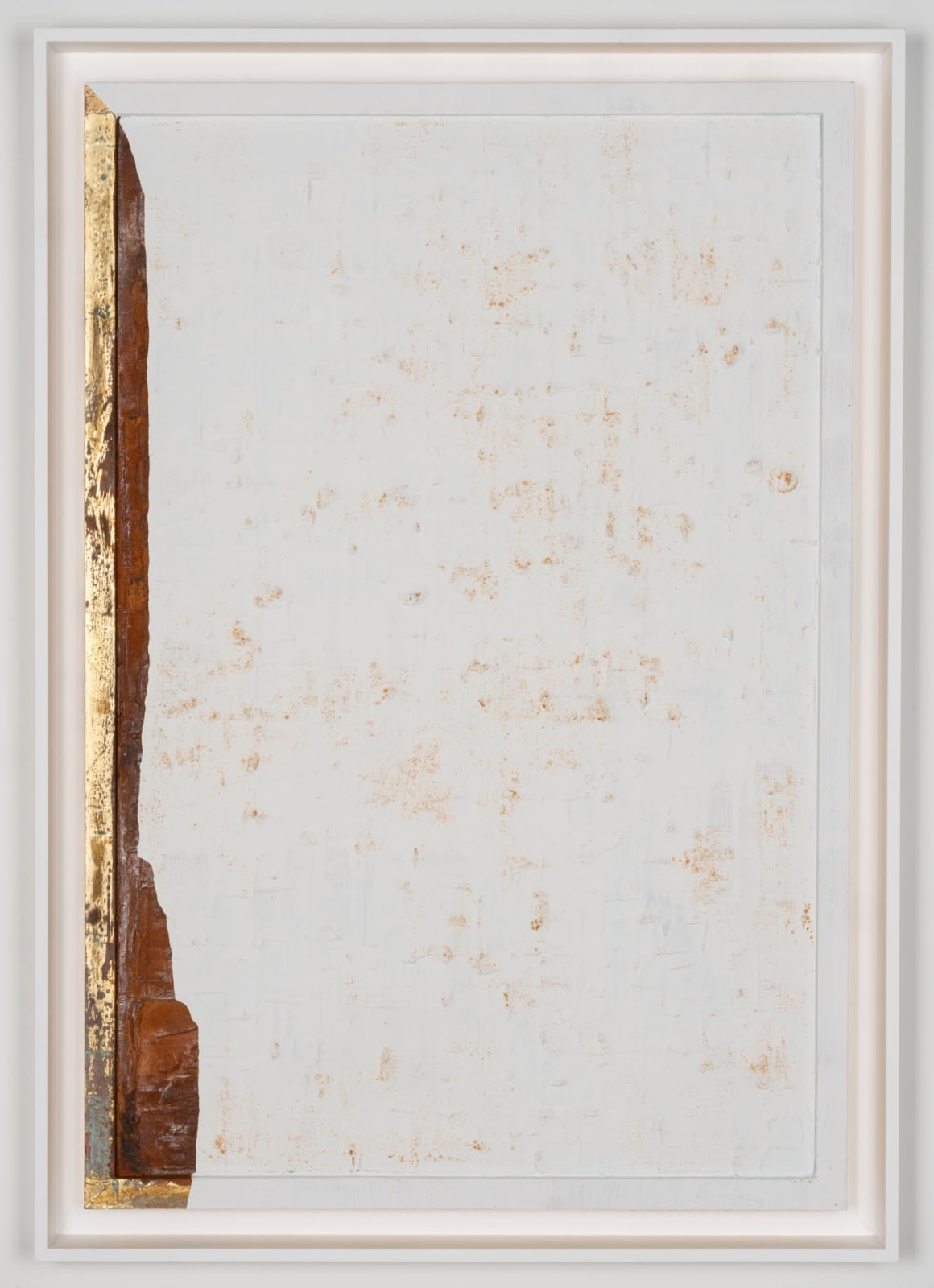 Joseph Cohen, Proposition 508