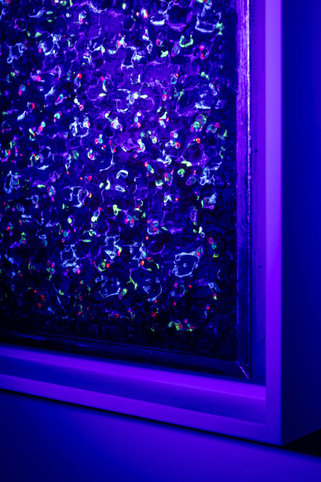 Joseph Cohen, Proposition 521