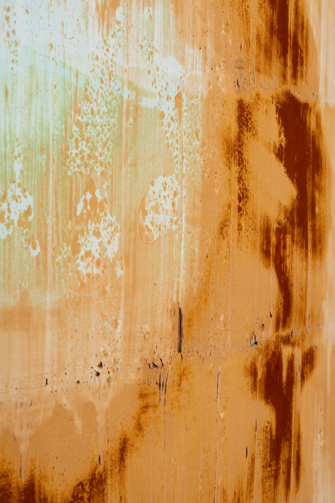 Joseph Cohen, Proposition 514