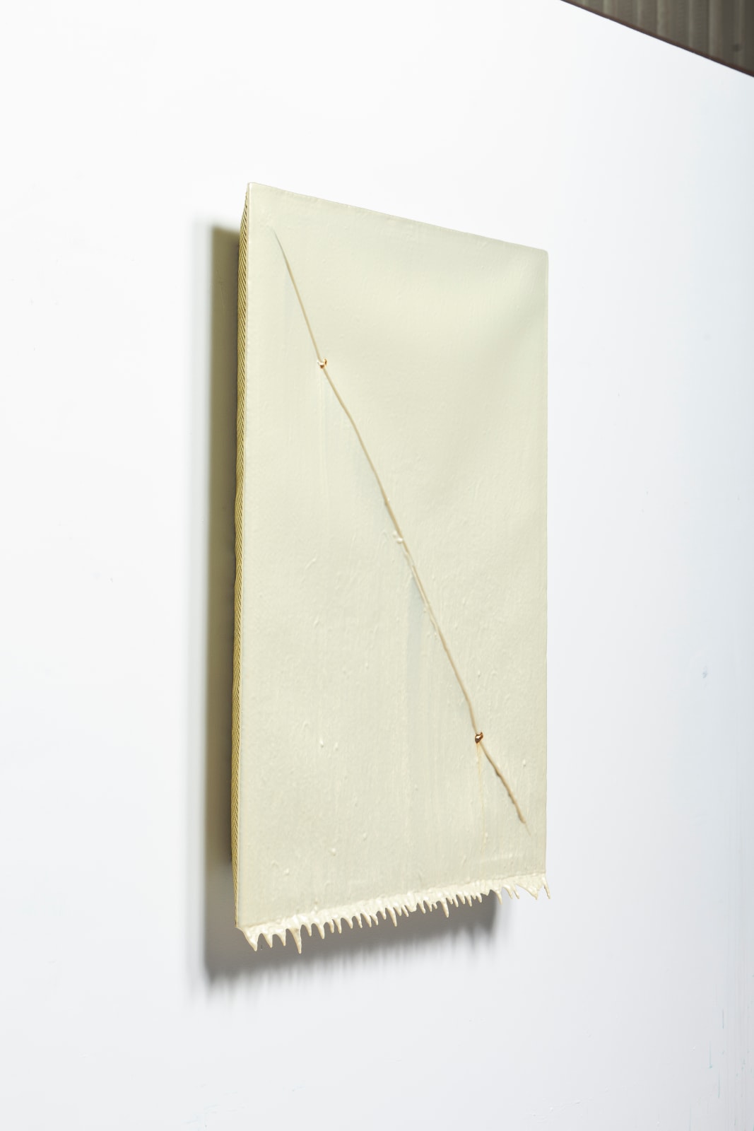 Joseph Cohen, Proposition 323