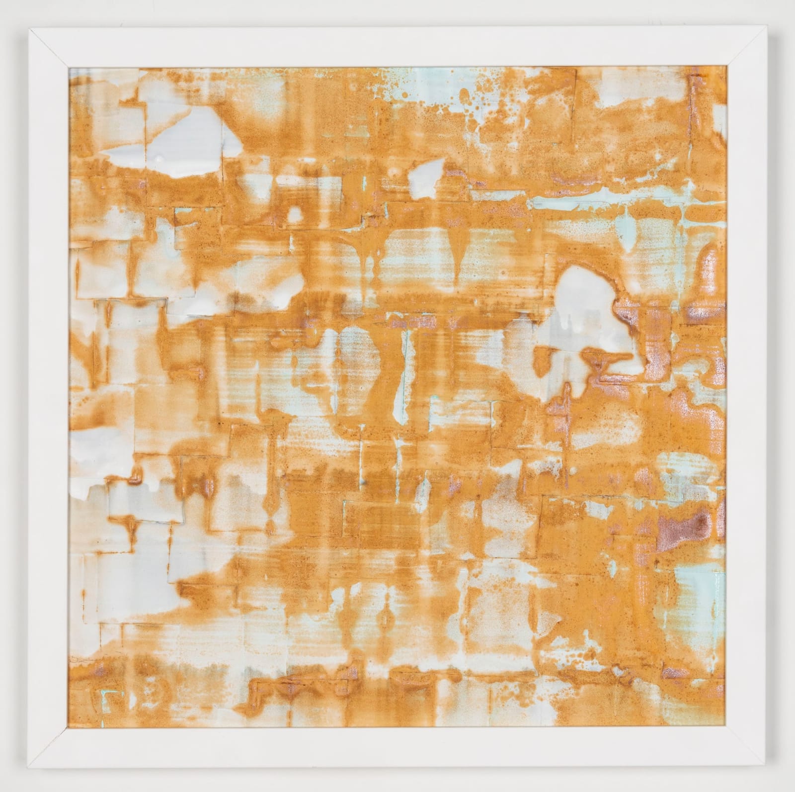 Joseph Cohen, Proposition 516