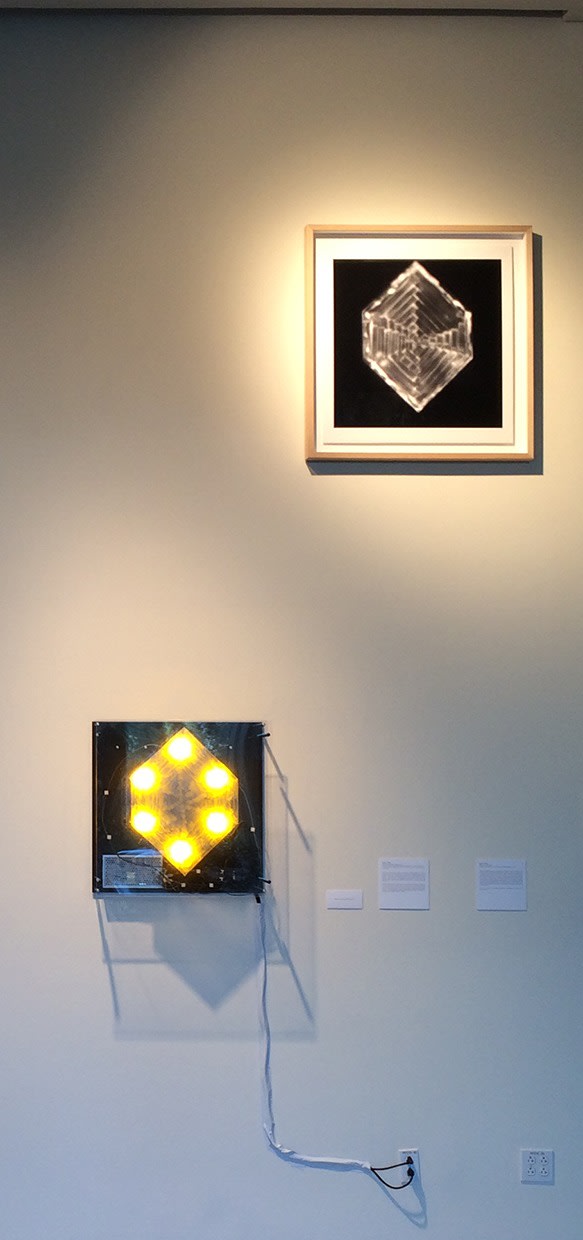 Joseph Cohen, Proposition 492 (If he she could only see my love_install at Rice)