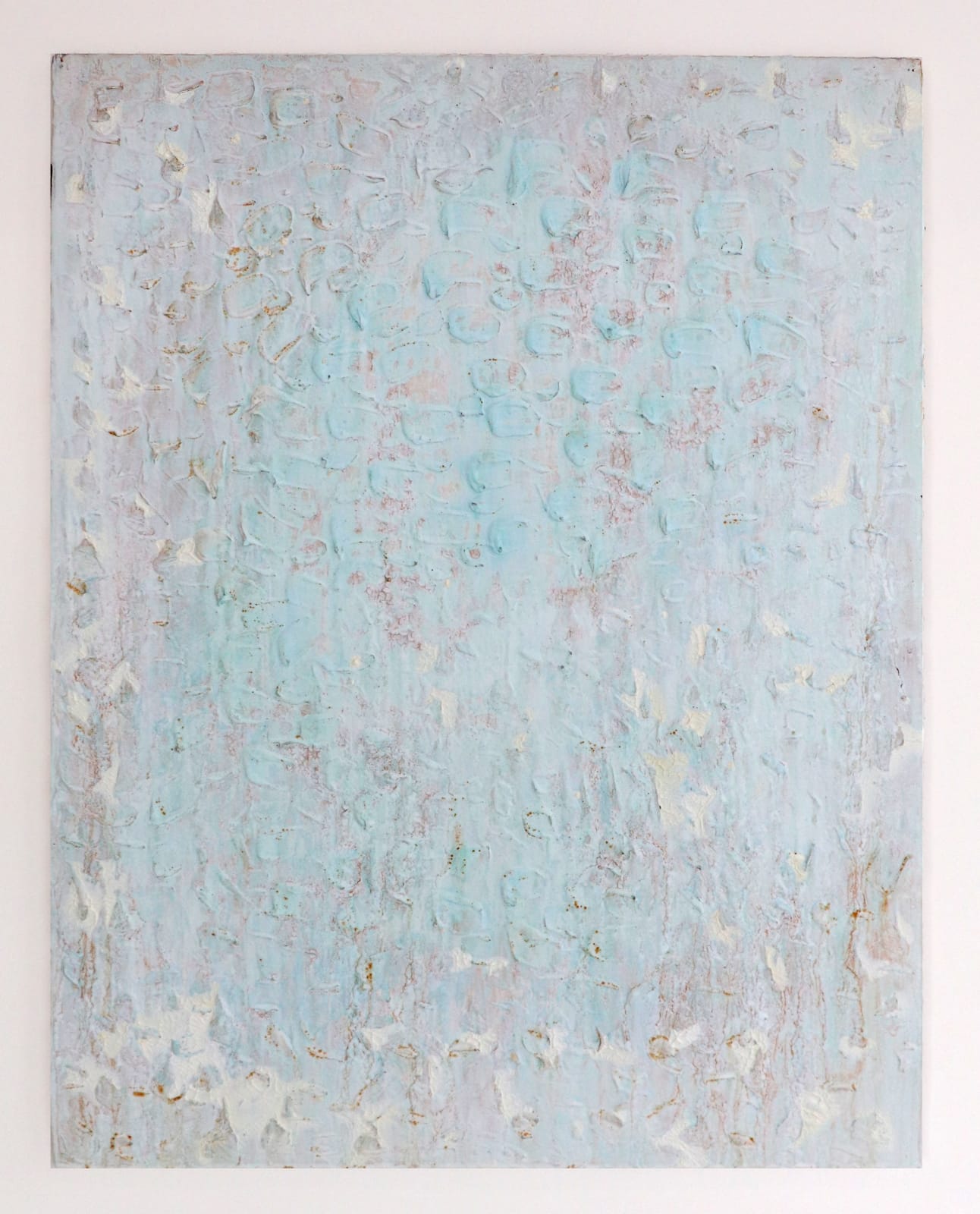 Joseph Cohen, Proposition 531