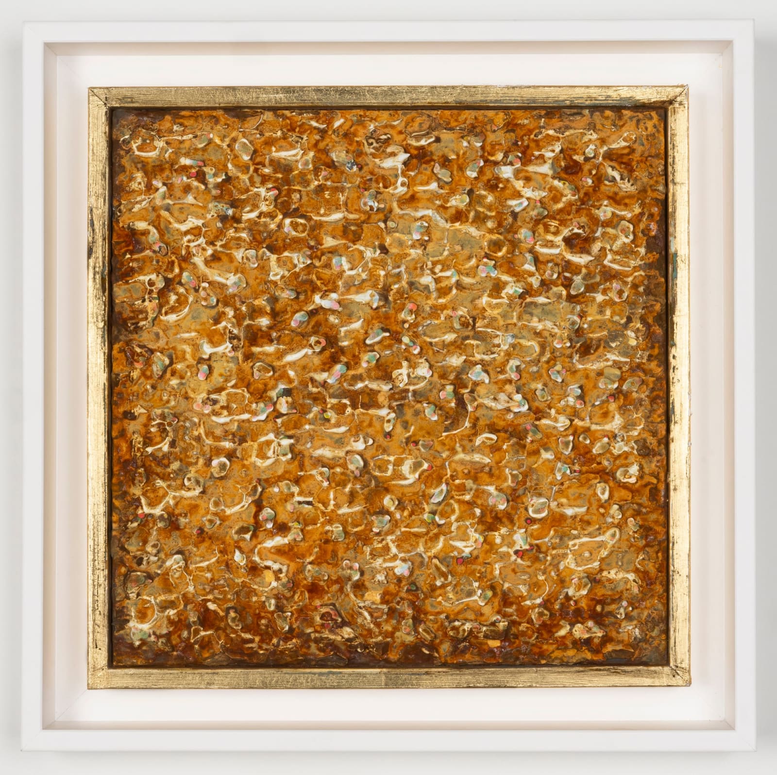 Joseph Cohen, Proposition 521