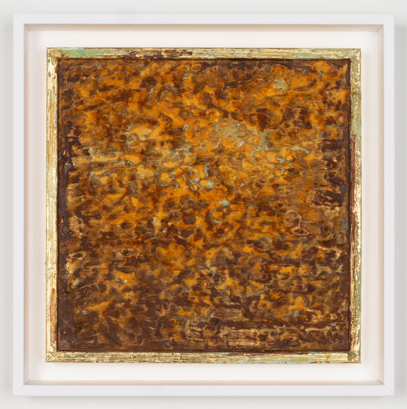 Joseph Cohen, Proposition 520