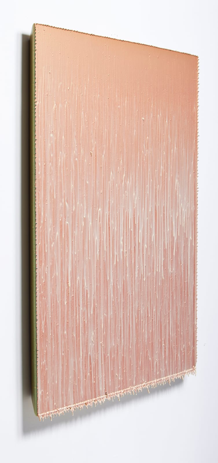 Joseph Cohen, Proposition 309