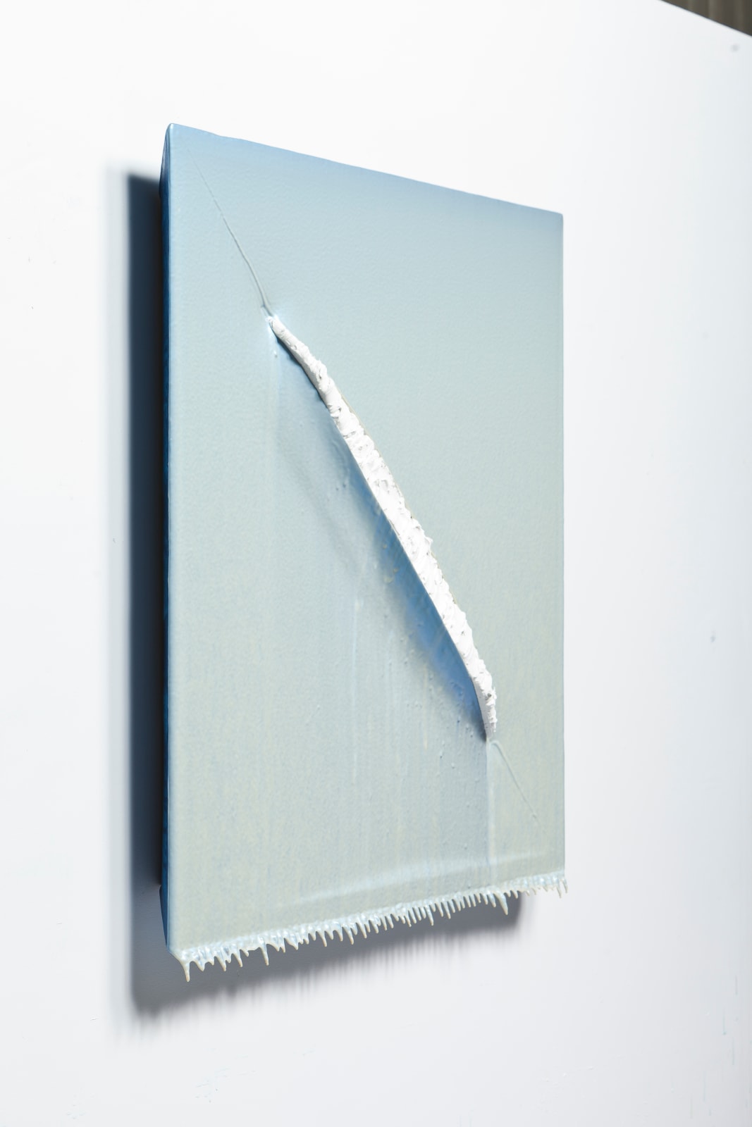 Joseph Cohen, Proposition 324