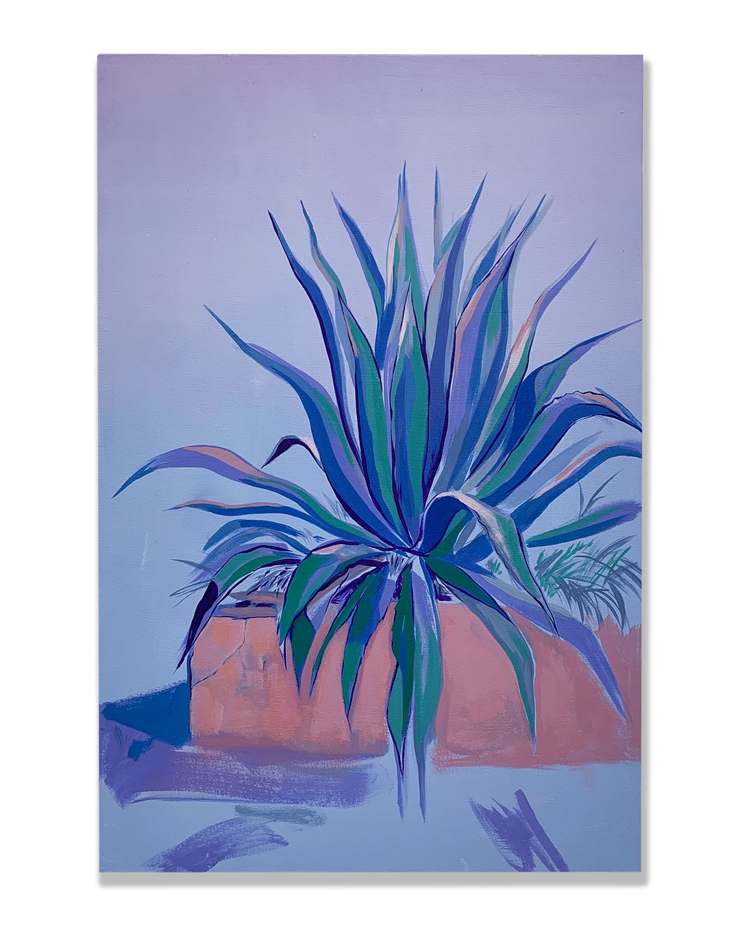 Santiago Mora, “Agave”, 2024