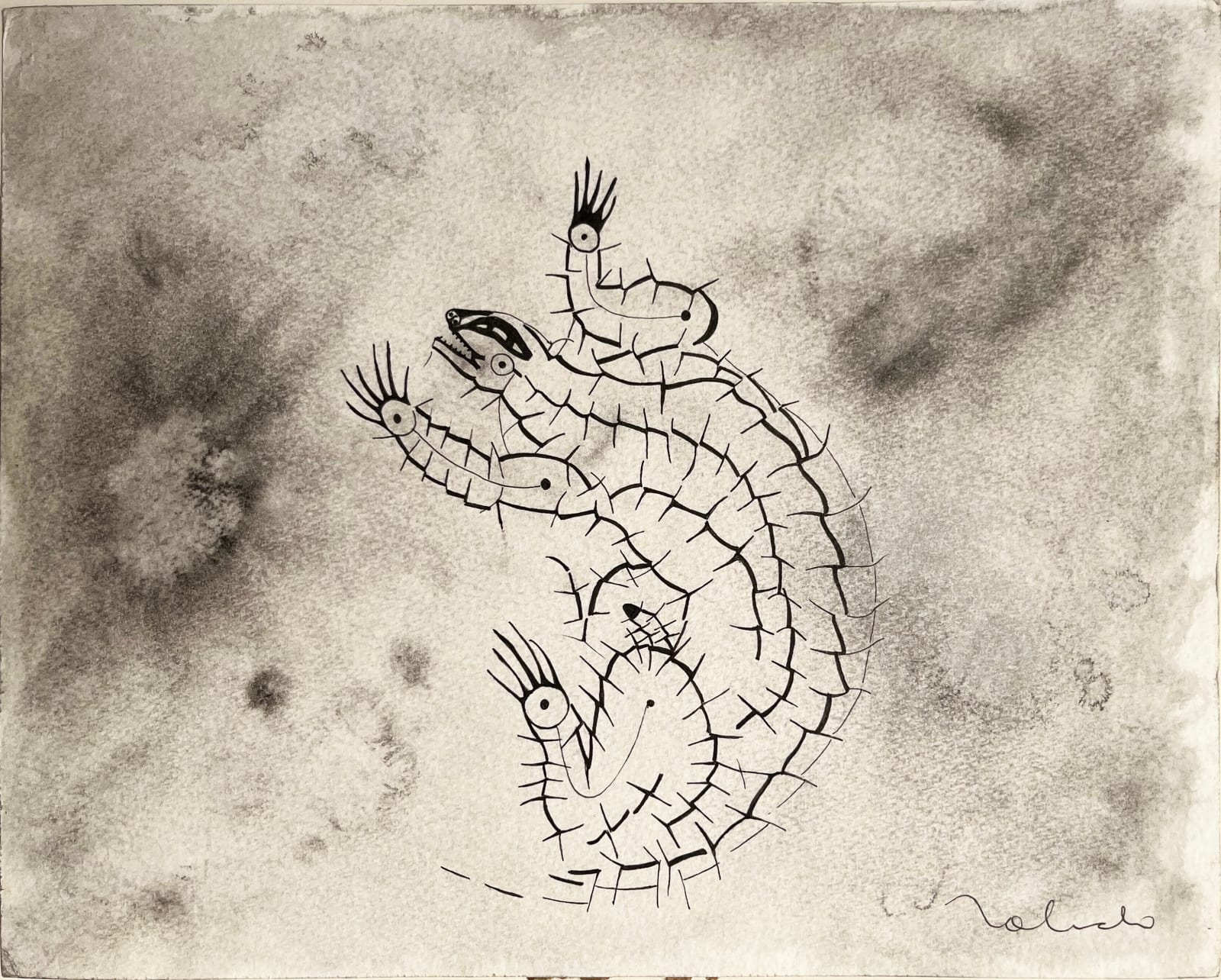Francisco Toledo, "Lagarto", ca. 1980