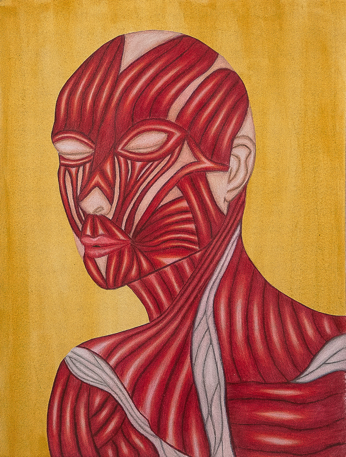Naomi Benuzillo, "Entre tejidos"