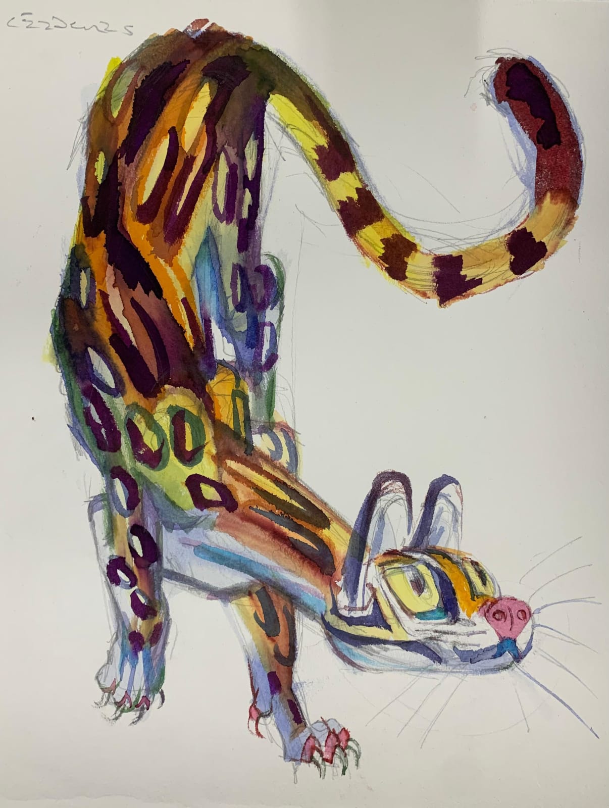 Mauricio Cárdenas, "Ocelote", 2025
