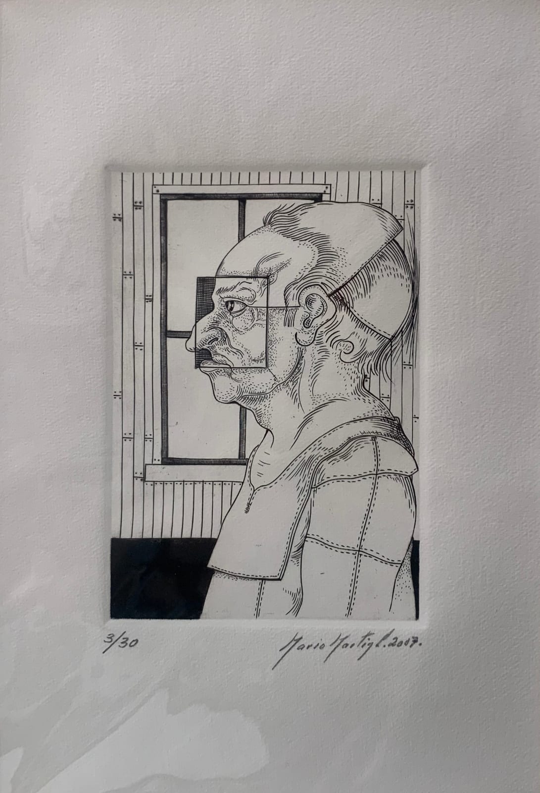 Mario Martín del Campo, Personaje de ventana, 2007