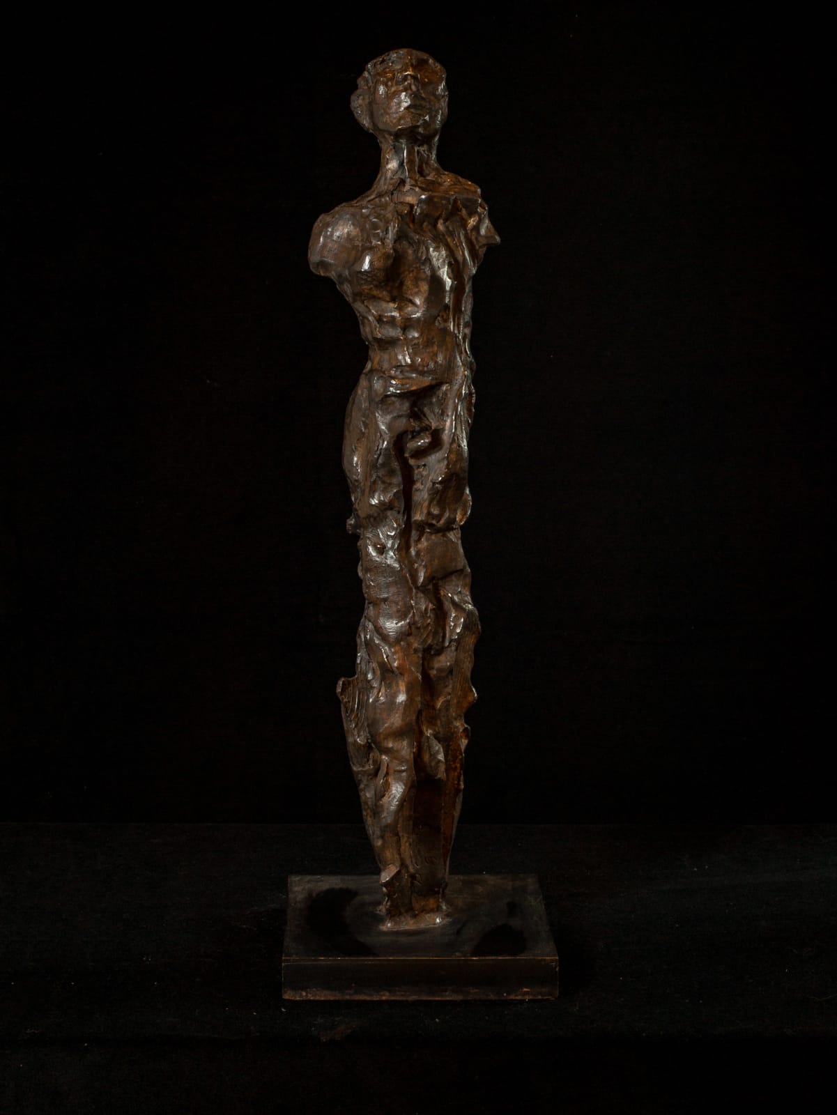Roberto Cortázar, "Esposa II", 2009