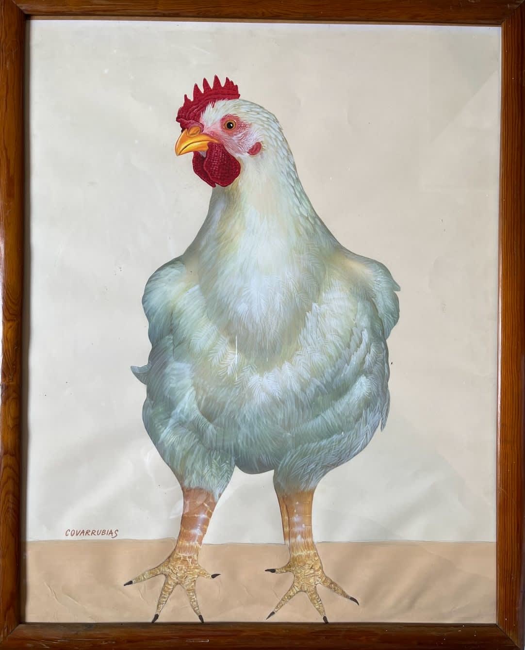 Miguel Covarrubias, Gallinita
